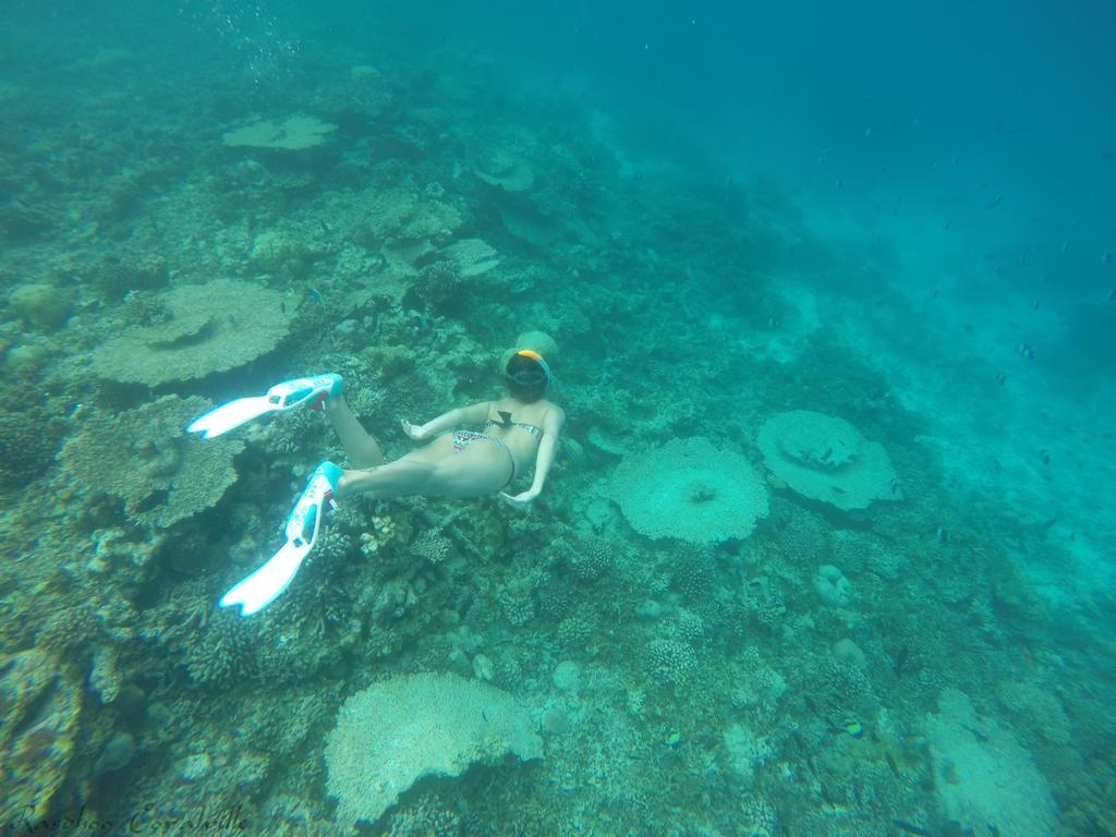 ホテル ラスドゥ コーラルビル Rasdhoo エクステリア 写真