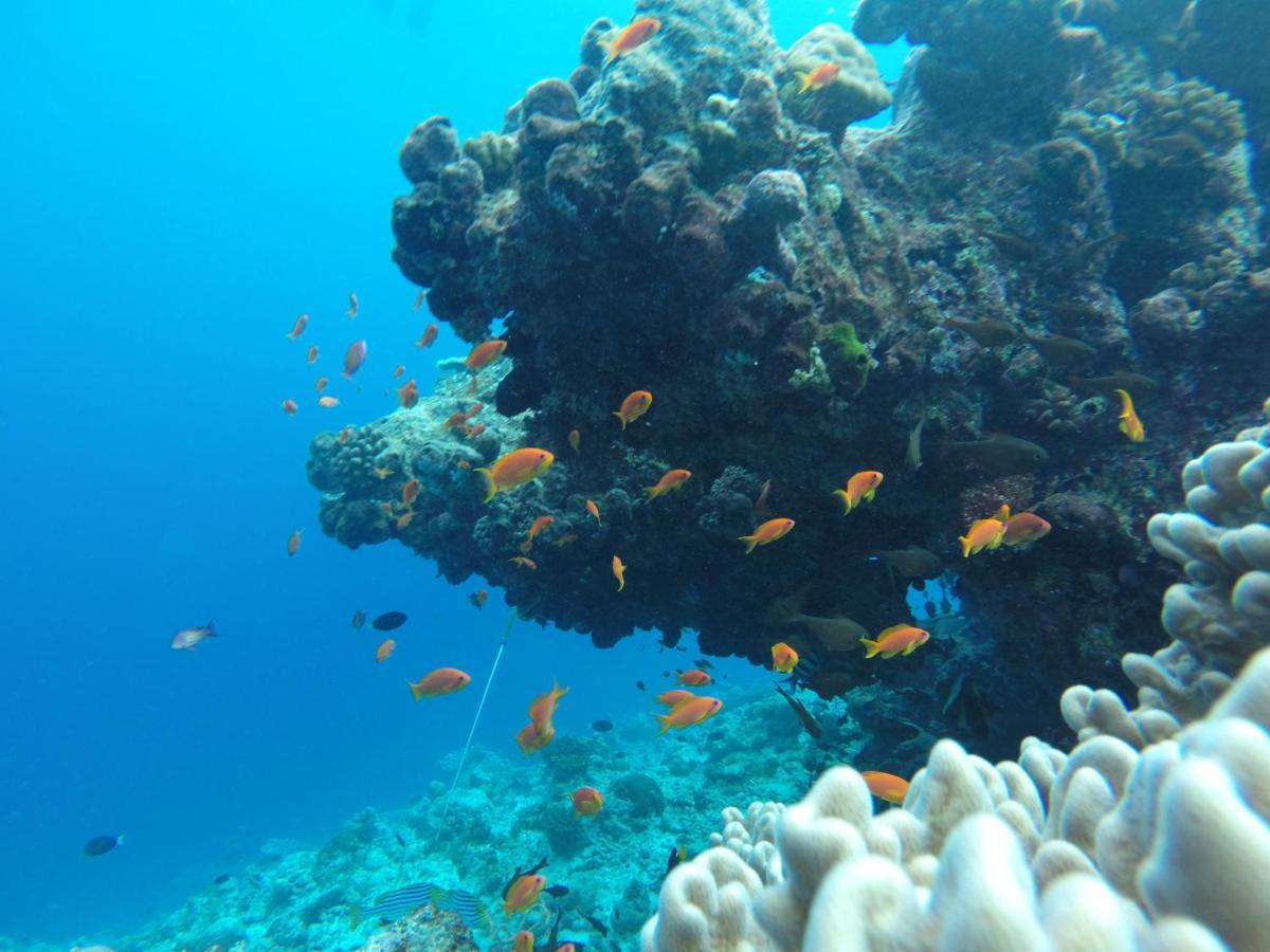 ホテル ラスドゥ コーラルビル Rasdhoo エクステリア 写真